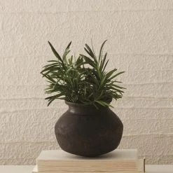 Lulu And Georgia Benji Pot Organic Harmony Collection