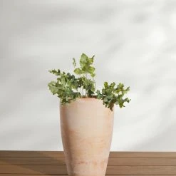 Lulu And Georgia New Abrielle Planter (Set Of 2) By Campania International