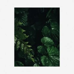 Lulu And Georgia 'Still Life 14' Photography Print By Ashley Johnson Mossy Greens