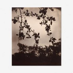 Lulu And Georgia 'Branche De Pommier' Print By Eugène Atget Earth Tones