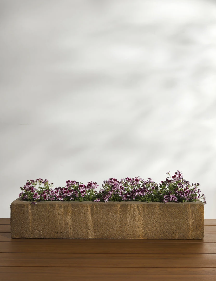 Lulu And Georgia Basic Element Long Planter By Campania International 3 Lulu And Georgia Basic Element Long Planter By Campania International