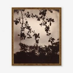 Lulu And Georgia 'Branche De Pommier' Print By Eugène Atget Earth Tones
