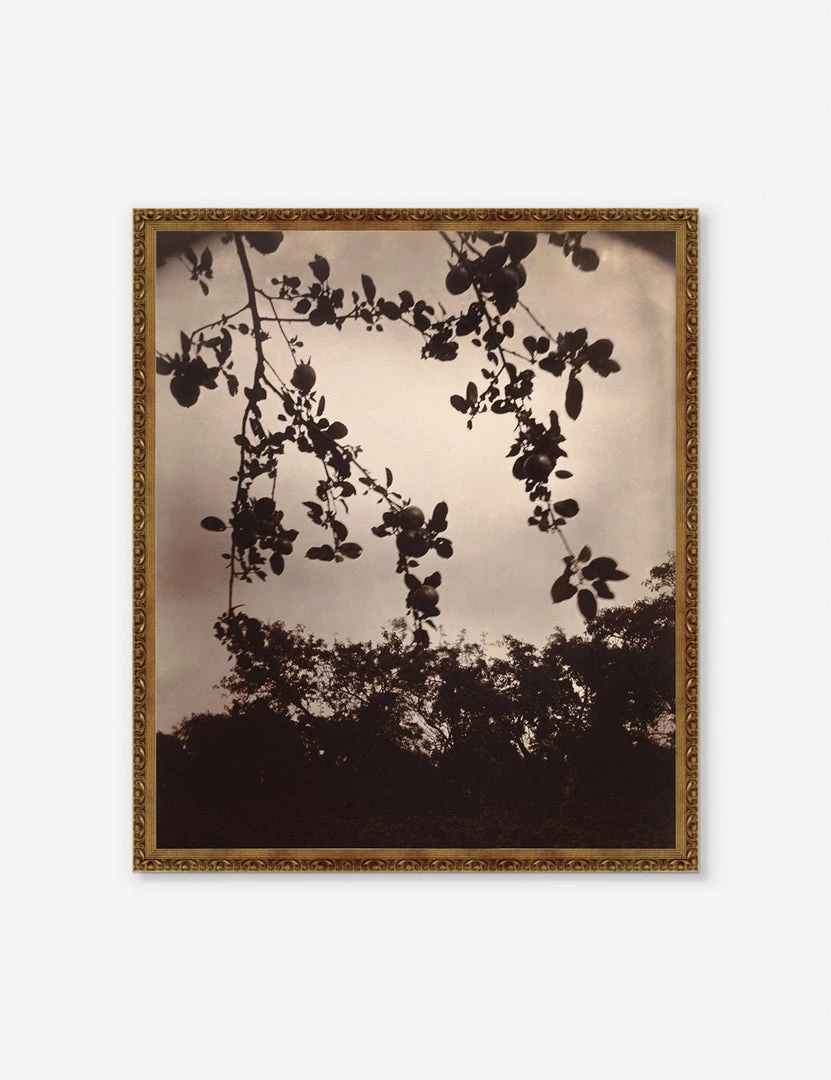 Lulu And Georgia 'Branche De Pommier' Print By Eugène Atget Earth Tones 3 Lulu And Georgia 'Branche De Pommier' Print By Eugène Atget Earth Tones