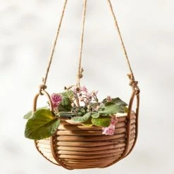 Lulu And Georgia Brandie Hanging Basket Outdoor Collection