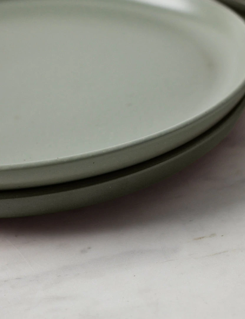 Lulu And Georgia New Pacifica Dinner Plates (Set Of 6) By Casafina 12 Lulu And Georgia New Pacifica Dinner Plates (Set Of 6) By Casafina