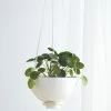 Lulu And Georgia Nilou Hanging Planter + Pot New 1 Lulu And Georgia Nilou Hanging Planter + Pot New