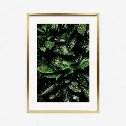 Lulu And Georgia 'Still Life 7' Photography Print By Ashley Johnson Mossy Greens