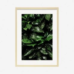 Lulu And Georgia 'Still Life 7' Photography Print By Ashley Johnson Mossy Greens