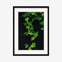 Lulu And Georgia 'Still Life 15' Photography Print By Ashley Johnson