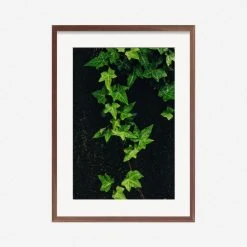 Lulu And Georgia 'Still Life 15' Photography Print By Ashley Johnson