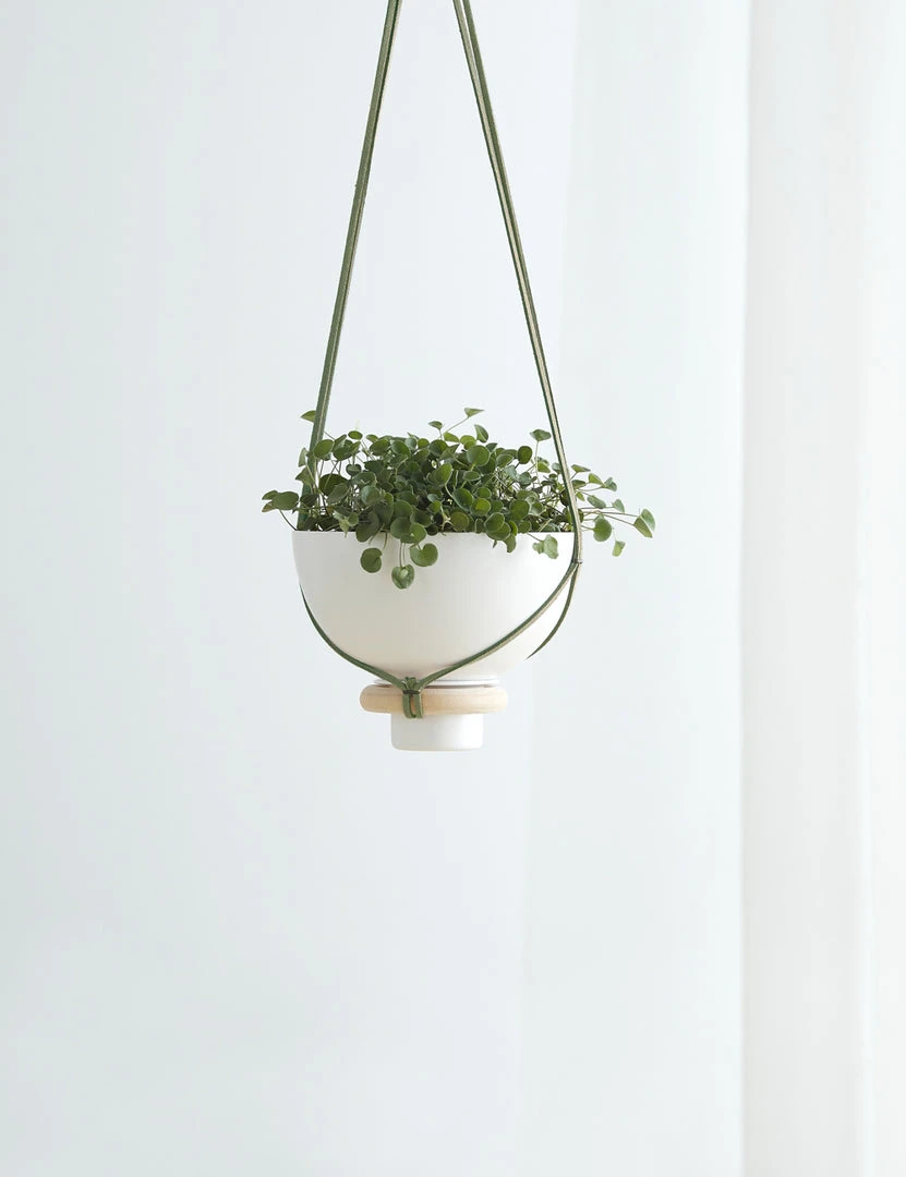 Lulu And Georgia New Karla Mini Hanger + Planter 5 Lulu And Georgia New Karla Mini Hanger + Planter