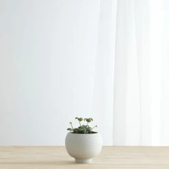 Lulu And Georgia Sutton Self-Watering Planter By Greenery Unlimited New
